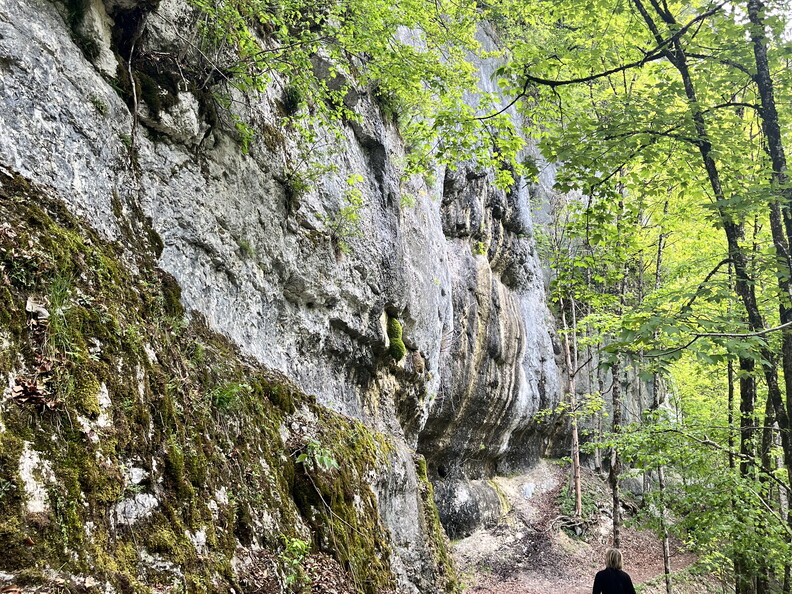 23-05-20 10-59-59 5479